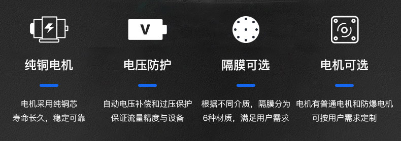 龍洋電動隔膜泵優勢所在